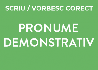 Pronume demonstrativ