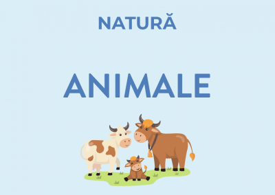 Animale domestice